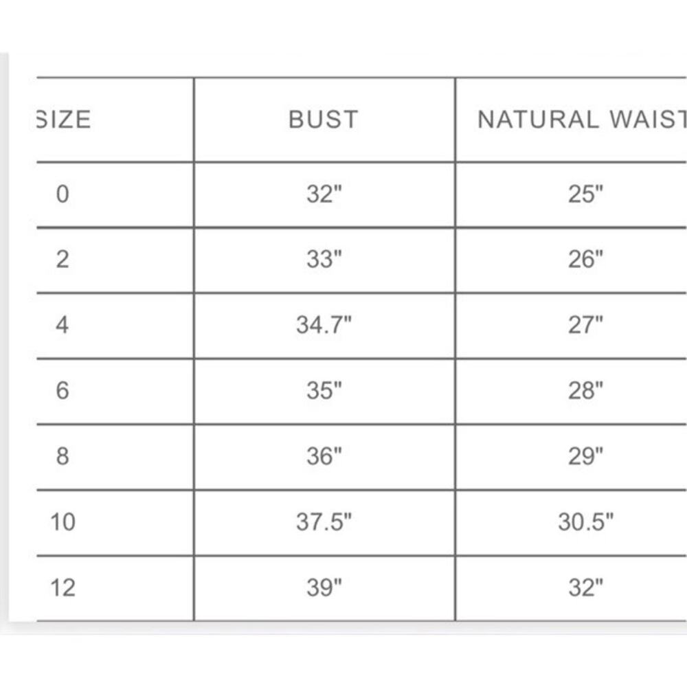 NWT BHLDN ML Monique Lhuillier Blue Michaela Lace Mini Dress 4 MSRP $425 - Picture 10 of 14